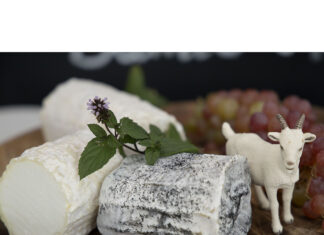 Козий сыр: польза для нашего организма и где его купить? Козий сыр: польза для нашего организма и где его купить?