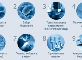 Что такое ЭКО и когда ее назначают? Что такое ЭКО и когда ее назначают?