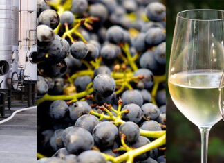 Для чего нужны ферментные добавки в виноделии: что это, ассортимент, разновидности, преимущества Для чего нужны ферментные добавки в виноделии: что это, ассортимент, разновидности, преимущества