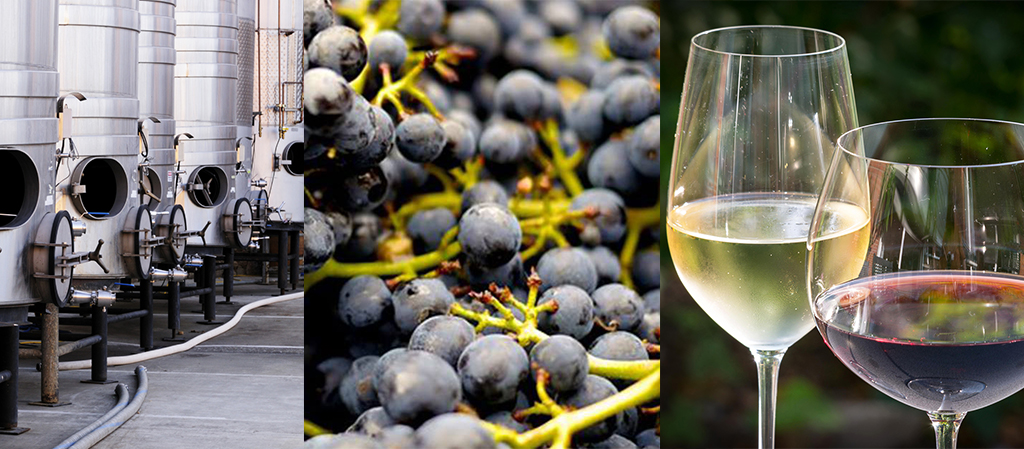 Для чего нужны ферментные добавки в виноделии: что это, ассортимент, разновидности, преимущества