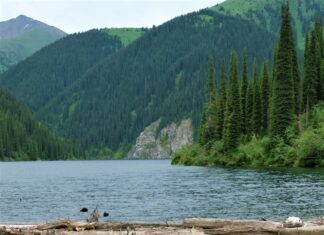 Как отдохнуть морально? Лучшее в природе! Как отдохнуть морально? Лучшее в природе!