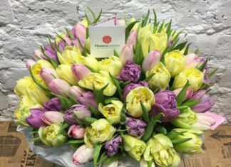 Цветы – лучший подарок для любимого человека! Цветы – лучший подарок для любимого человека