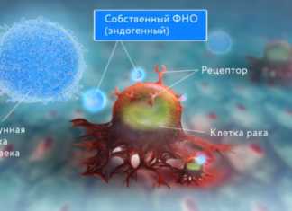 Типы цитокинов, участвующих в иммунных реакциях Типы цитокинов, участвующих в иммунных реакциях