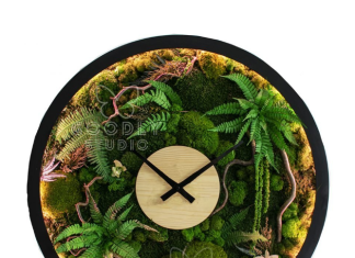 Картины из мха: как создаются, история, современные тенденции Картины из мха: как создаются, история, современные тенденции