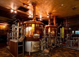 Медовуха или пиво: в чем разница и что выбрать?