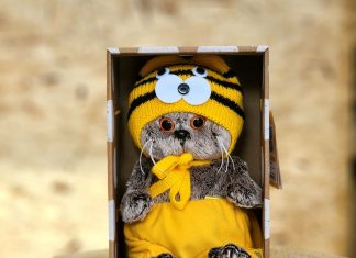 Мягкие игрушки в подарок