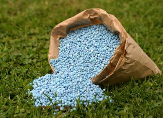 Зачем необходимы минеральные удобрения?