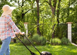 Электрические триммеры для травы: когда мощь не шумит