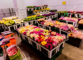 Логистика и хранение цветов в оптовой торговле