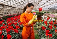 Цветочная ферма: от семян до букета