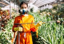 Гербицидная обработка: надёжный способ избавиться от сорняков и сохранить здоровье растений