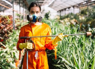 Гербицидная обработка: надёжный способ избавиться от сорняков и сохранить здоровье растений